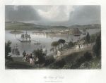 Ireland, Cove of Cork, 1842