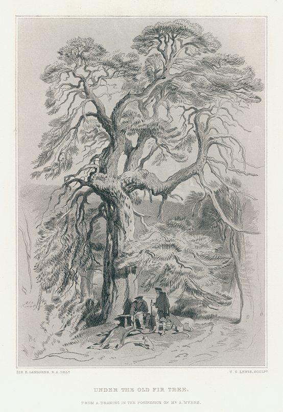 Under the Old Fir Tree (Scotland), after Landseer, 1877