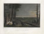 USA, Forest near Lake Ontario, 1840