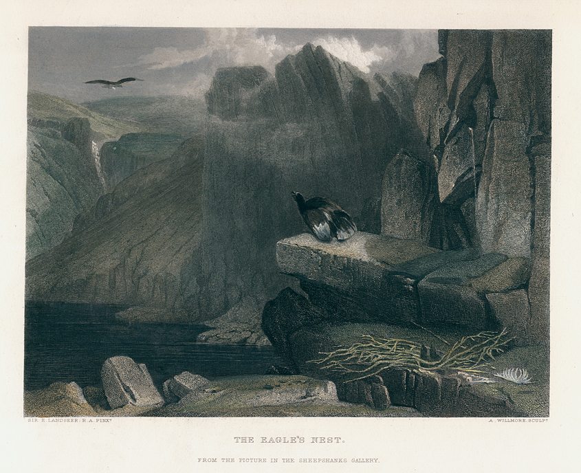 The Eagle's Nest, after Landseer, 1877