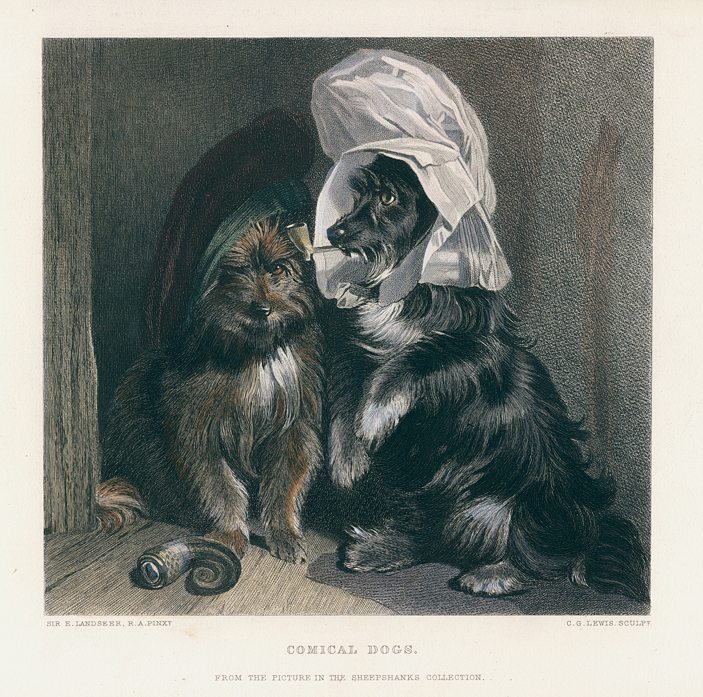 Comical Dogs, after Landseer, 1877