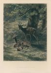 The Resting Place of the Deer, after Rosa Bonheur, 1887