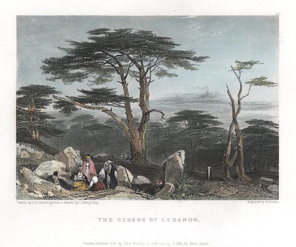Lebanon, Cedars, 1836