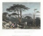 Lebanon, Cedars, 1836