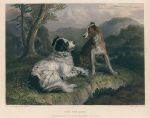 The Twa Dogs, after a picture by Edwin Landseer, 1870