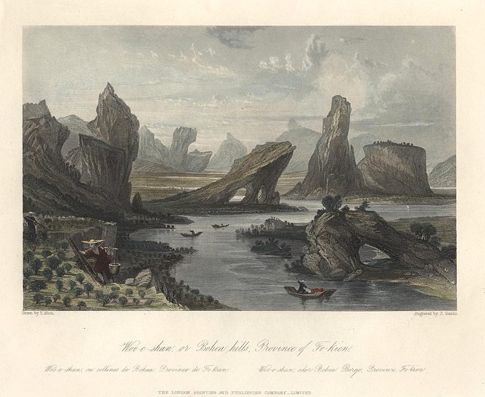 China, Bohea Hills in Fo-kien, 1858