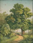 Germany?, country scene, chromolithograph, c1880