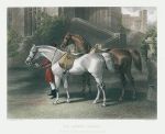 The Queen's Horses, after Herring, 1856