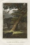 Africa, elephant, lion & monkey, 1807