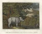 Africa, Hippopotamus of the Cape of Good Hope, 1807