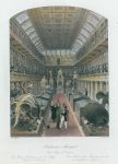 London, Hunterian Museum, 1841