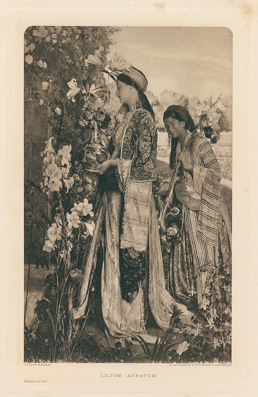 Lilium Auratum, (turkish interest), 1897
