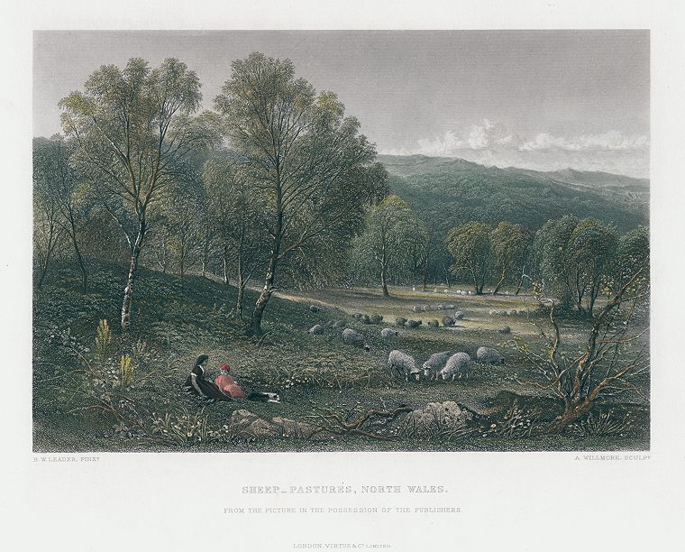North Wales, Sheep Pasture, 1880
