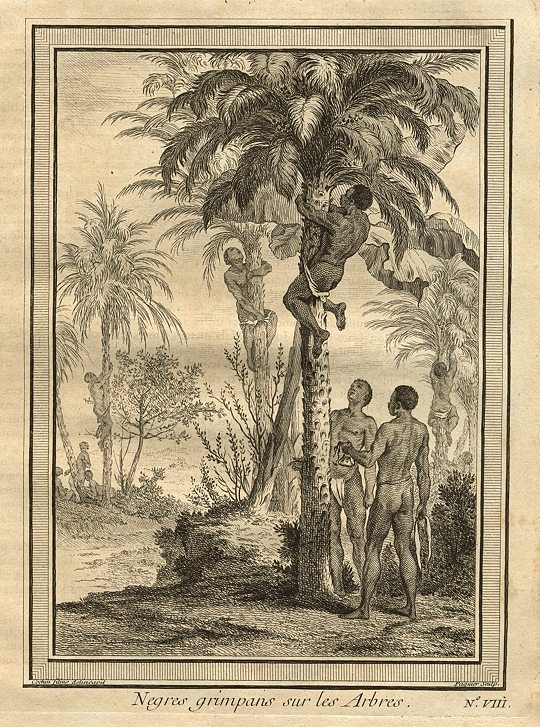 Guinea?, natives climbing palm trees, 1746