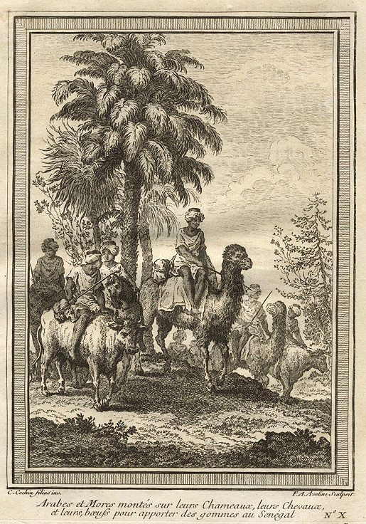 Senegal, Arabs and Moors riding camels, 1746