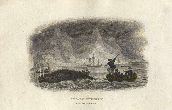 Whaling, 1806