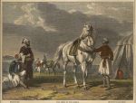 Arabia, The Pride of the Desert (arab horse), 1863