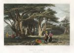 Lebanon, Cedars of Solomo, 1855