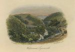 Devon, Lynmouth, Watersmeet, c1855