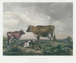 The Pasture, Osborne, after Cooper, 1851