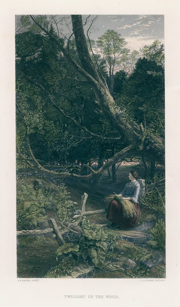 Twilight in the Wood, after Raven, 1874