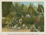 Rockery Garden at Chiswick, c1885