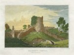 Monmouthshire, Caldicot Castle, 1848