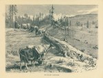 Switzerland, Mountain Pastures, 1885