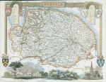 Norfolk, Moule map, 1850