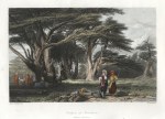 Lebanon, Cedars of Solomon, 1852