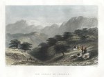 Cedars of Lebanon, 1840