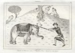 Iran, Persian epic hero Rostam fighting elephant, 1841
