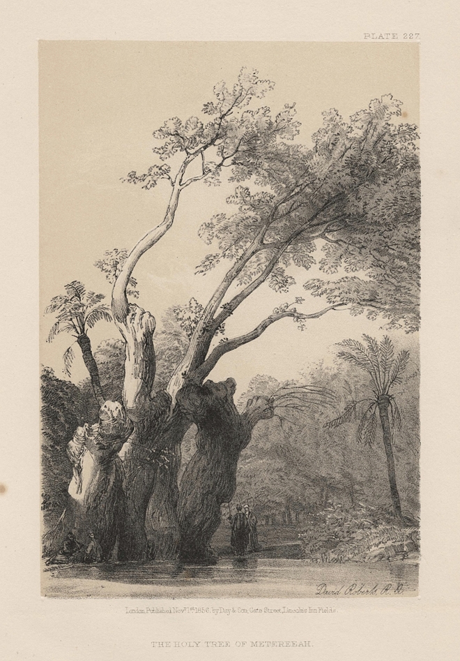 Holy Land, The Holy Tree of Metereeah, 1855