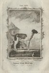Irish Greyhound, after Buffon, 1785
