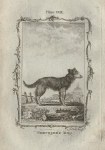Sheepdog, after Buffon, 1785