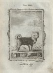 Siberian Dog, after Buffon, 1785