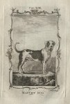 Mastiff Dog, after Buffon, 1785