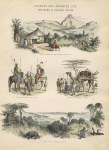 Africa, northern and central, Scenery and Animated Life, c1880
