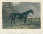 Horse Racing, an Oaks Winner, 1860