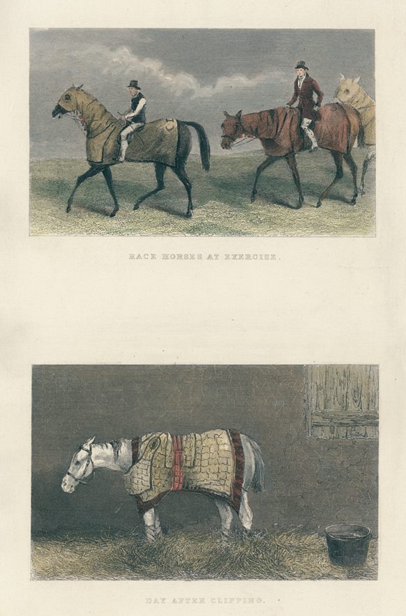 Race Horses exercising, & Day after Clipping, two prints, 1860