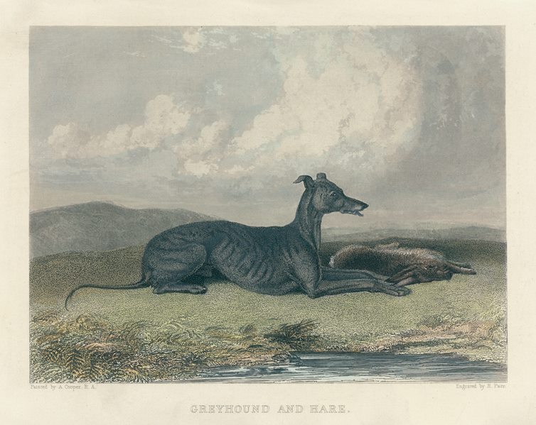 Greyhound and Hare, 1860