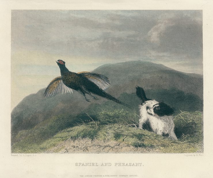 Spanial and Pheasant, 1860