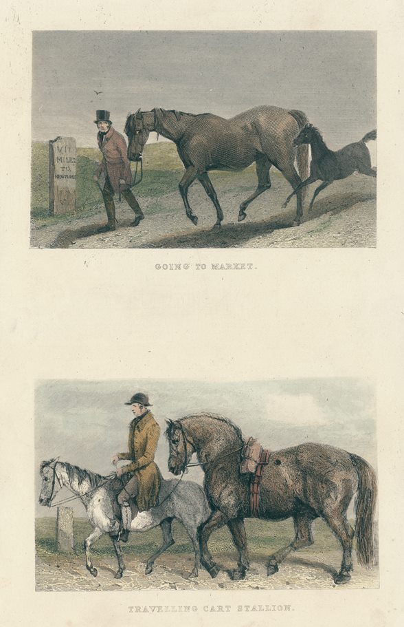 Horses, Going to Market & Cart Stallion, two prints, 1860