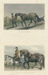 Horses, Going to Market & Cart Stallion, two prints, 1860