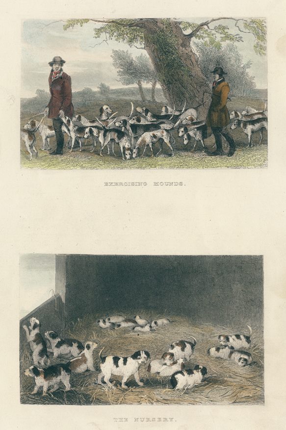Fox hunting, Exercising Hounds & The Nursery, two prints, 1860