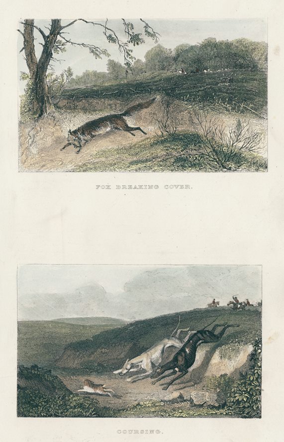 Hunting, Fox Breaking Cover & Coursing, 1860