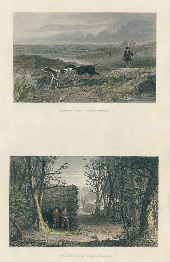 Partridge & Woodcock Shooting, 1860