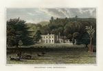 Devon, Kellerton Park, 1832