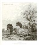 Etching after Paulus Potter, The Four Cows