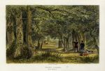 Hampshire, New Forest, Stoney Cross, 1839